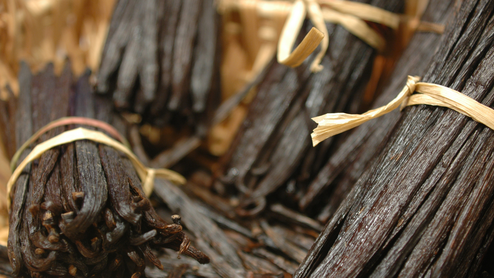 Vanilla Beans